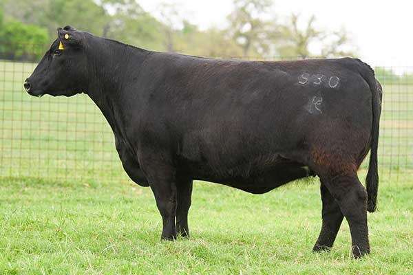 H P C A Identified S30